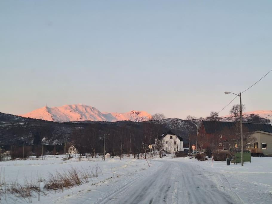 Farmroom With Sauna And Aurora Narvik Exterior foto