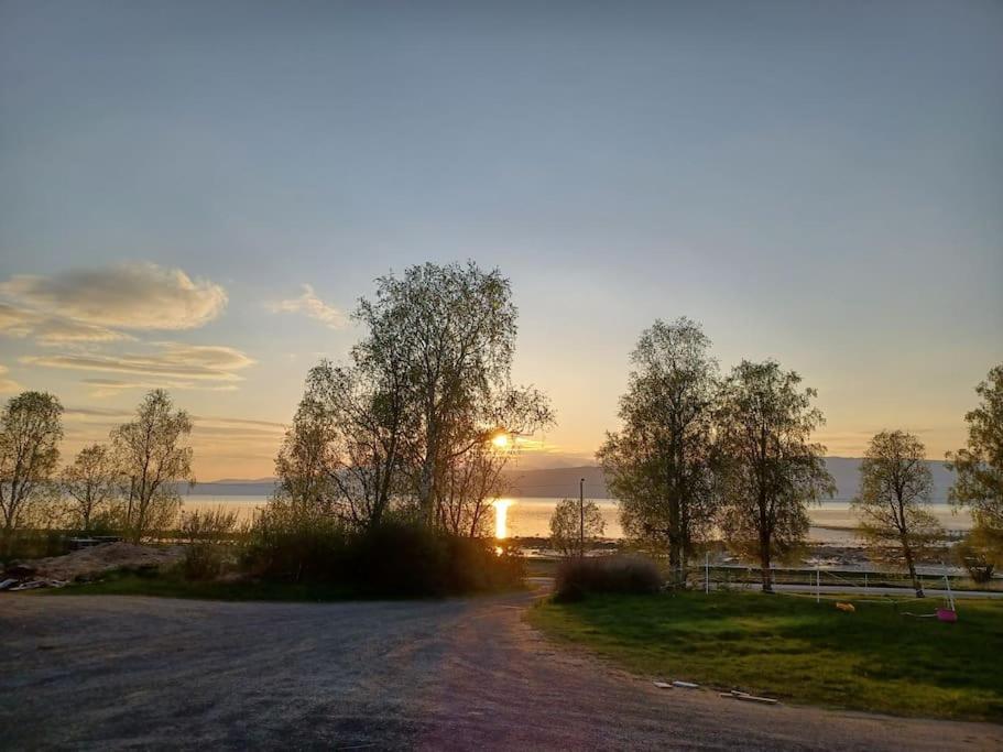 Farmroom With Sauna And Aurora Narvik Exterior foto