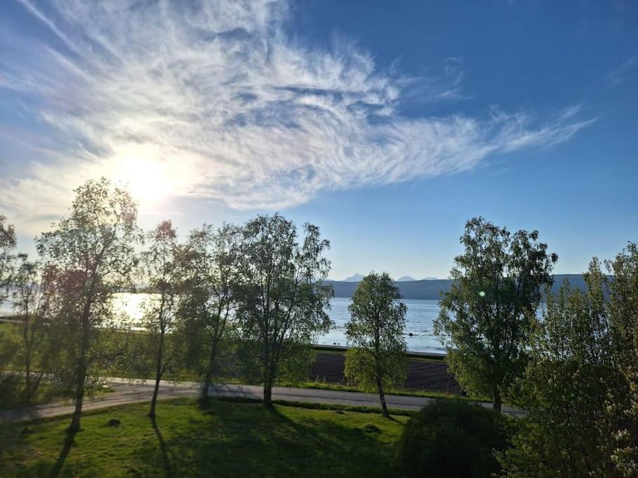 Farmroom With Sauna And Aurora Narvik Exterior foto