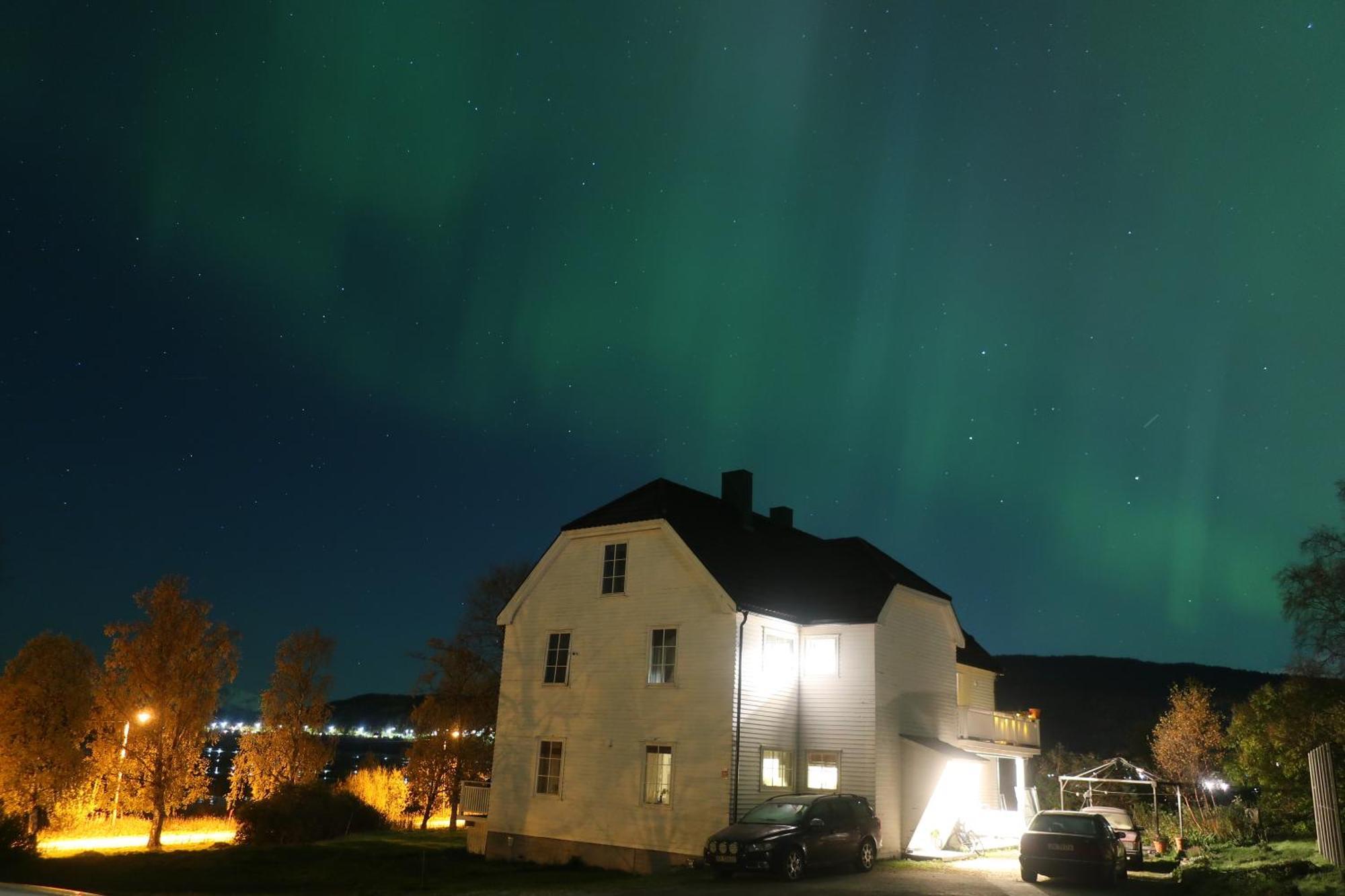 Farmroom With Sauna And Aurora Narvik Exterior foto